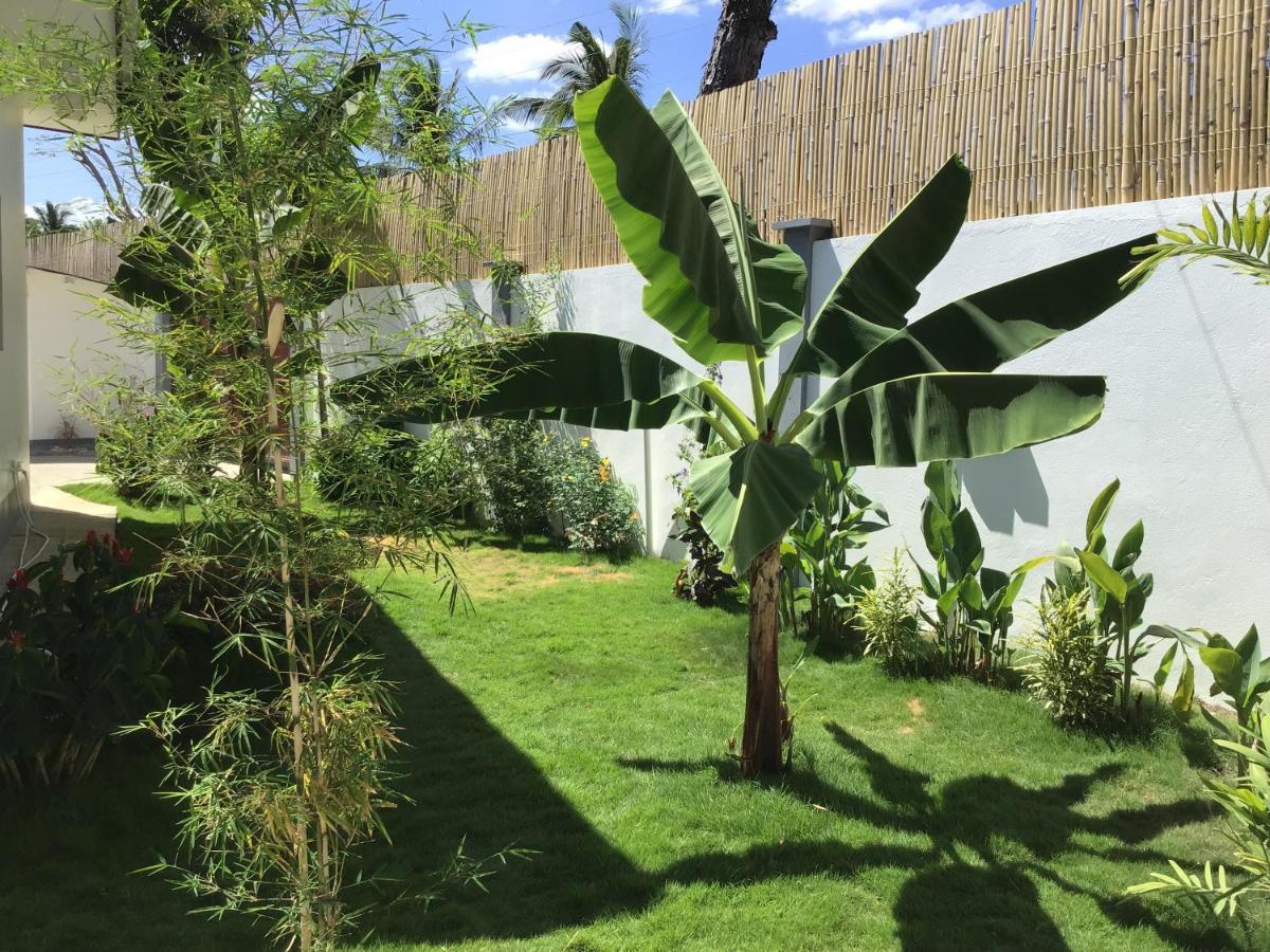 Bamboobeachvilla1 Ac New Oceanfront Pool Sunsetview Garden Kitchen Satellite Starlink Wi-Fi Dimiao Esterno foto