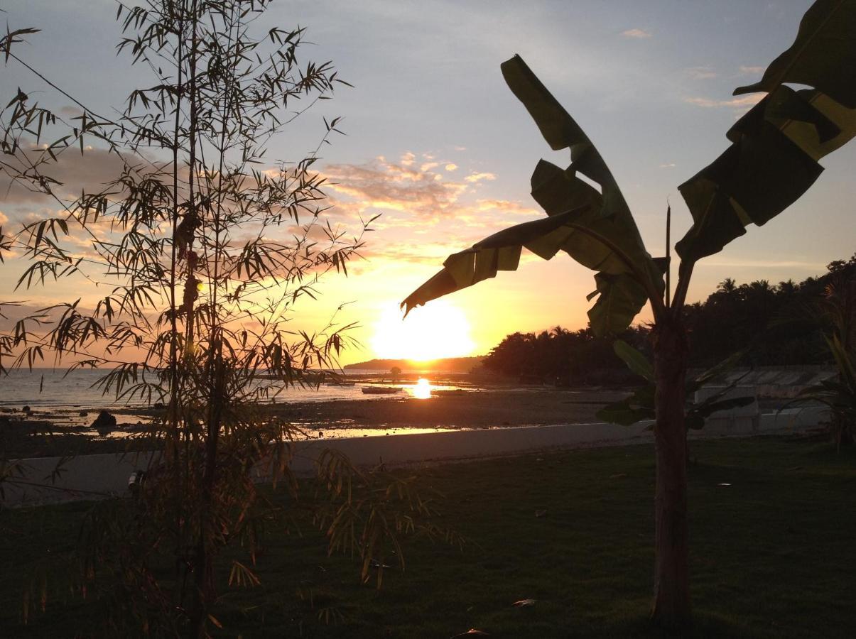 Bamboobeachvilla1 Ac New Oceanfront Pool Sunsetview Garden Kitchen Satellite Starlink Wi-Fi Dimiao Esterno foto