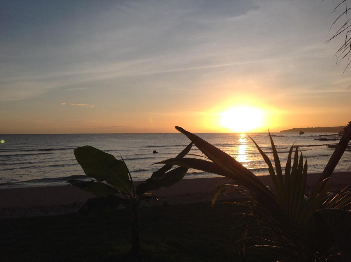 Bamboobeachvilla1 Ac New Oceanfront Pool Sunsetview Garden Kitchen Satellite Starlink Wi-Fi Dimiao Esterno foto