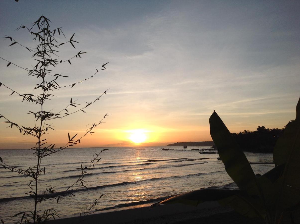 Bamboobeachvilla1 Ac New Oceanfront Pool Sunsetview Garden Kitchen Satellite Starlink Wi-Fi Dimiao Esterno foto